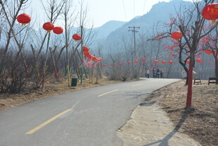 山间挂红灯笼的蜿蜒小路