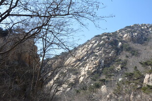 巍峨山峦与枯树景观