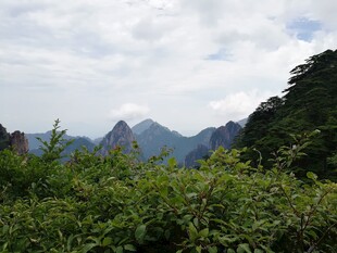 山间绿意盎然的秀丽景致