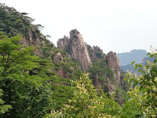 秀丽奇峰伴葱郁山林