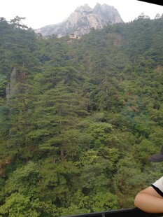 山间绿意美景