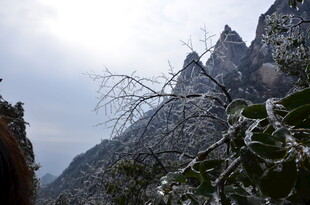 巍峨山峰与葱郁植被