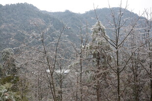 冬日山林雪景