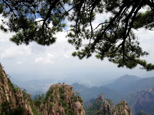 黄山松景下的壮丽山峦