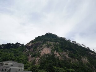 青山巍峨 绿意盎然