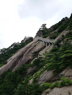 山间蜿蜒石阶 绿意环绕