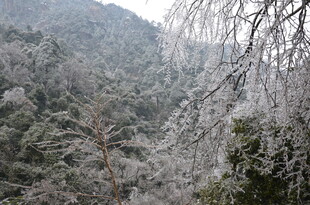 山间雾凇景观