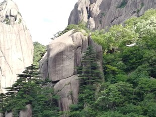 奇峰屹立于葱郁山林间