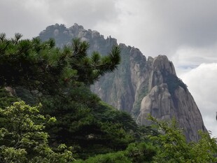 巍峨山峰与葱郁树木