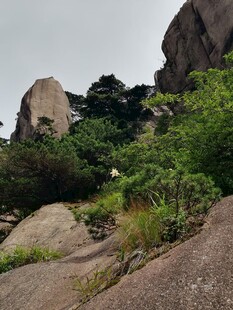 山间嶙峋怪石与葱郁植被