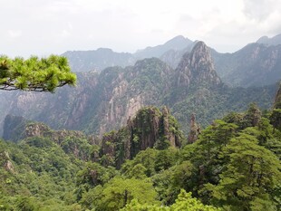 壮美山峦间的翠绿景致