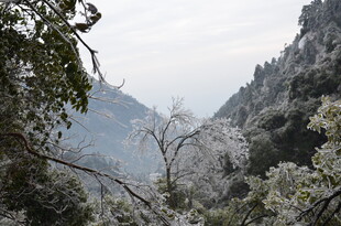 山间雪景 银装素裹的自然美