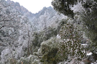 雪覆山林美景