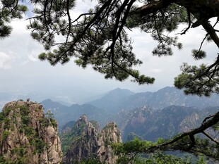 黄山松景下的壮丽山峦