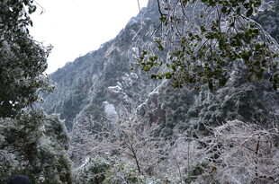 雪覆山林景致