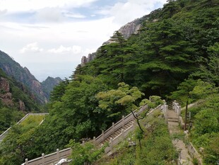 山间绿意盎然的蜿蜒步道