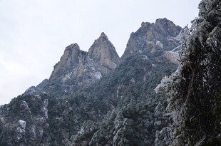巍峨雪山下的葱郁山峦