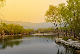 河畔柳影 黄昏静谧美景