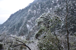 雪覆山林景