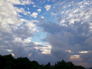 黄昏时分的天空与树林