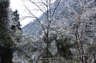 雪覆山林美景