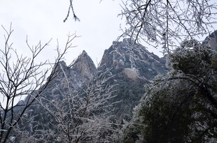 雪覆山峦与树木的美景