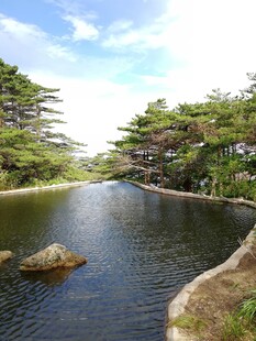 宁静湖畔风光