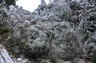 雪覆山林美景