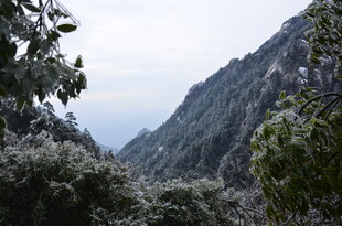 山林景致 绿意盎然的山谷