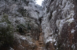 雪覆山间狭道