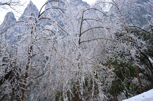 雪覆山林的壮美山景