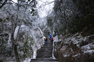雪后山林中的登山者