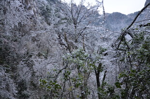 雪覆山林景