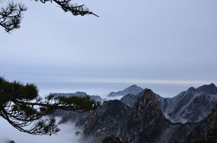 雪覆山峦间的苍松美景