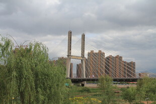 工厂远景 绿树相伴