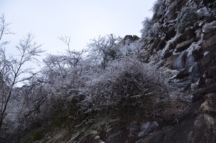 山间覆霜树木景致独特