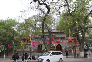 古树下的中式建筑与车辆