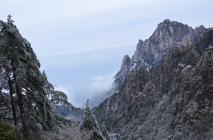 雪覆山峦间的苍松美景