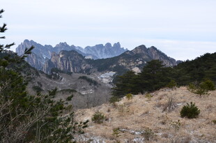 山间景致 远峰近草