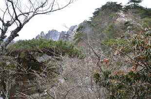 山间植被与远处山峦景色