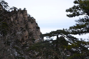 峻峭山峰与苍松