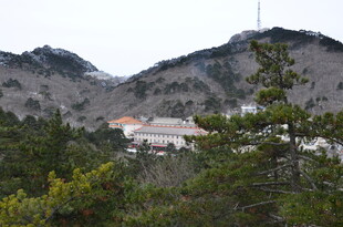 山间景致 绿树环绕建筑