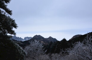 冬日山林雪景