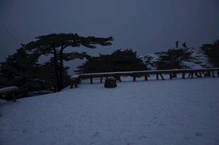 雪夜中的古桥与苍松
