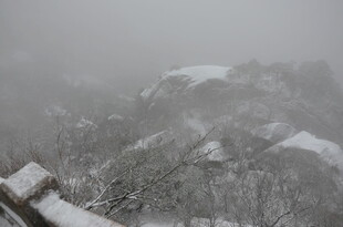 雪覆山林 朦胧冬日景致