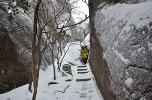 雪覆山间小径 静谧之景