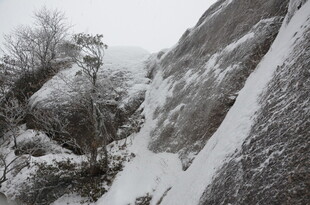 雪覆山石与枯树景象