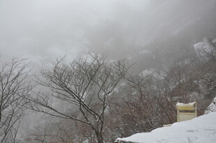 山间雪景 雾霭中的冬日景致
