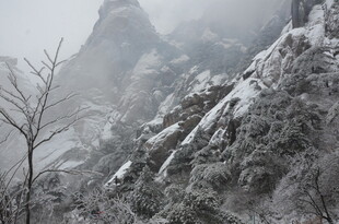 雪覆山峦 枯树点缀美景