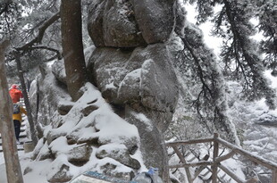 雪覆山林中的独特岩石景观